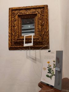 Florum Hereditatem - Museo Sobre Monte (4)